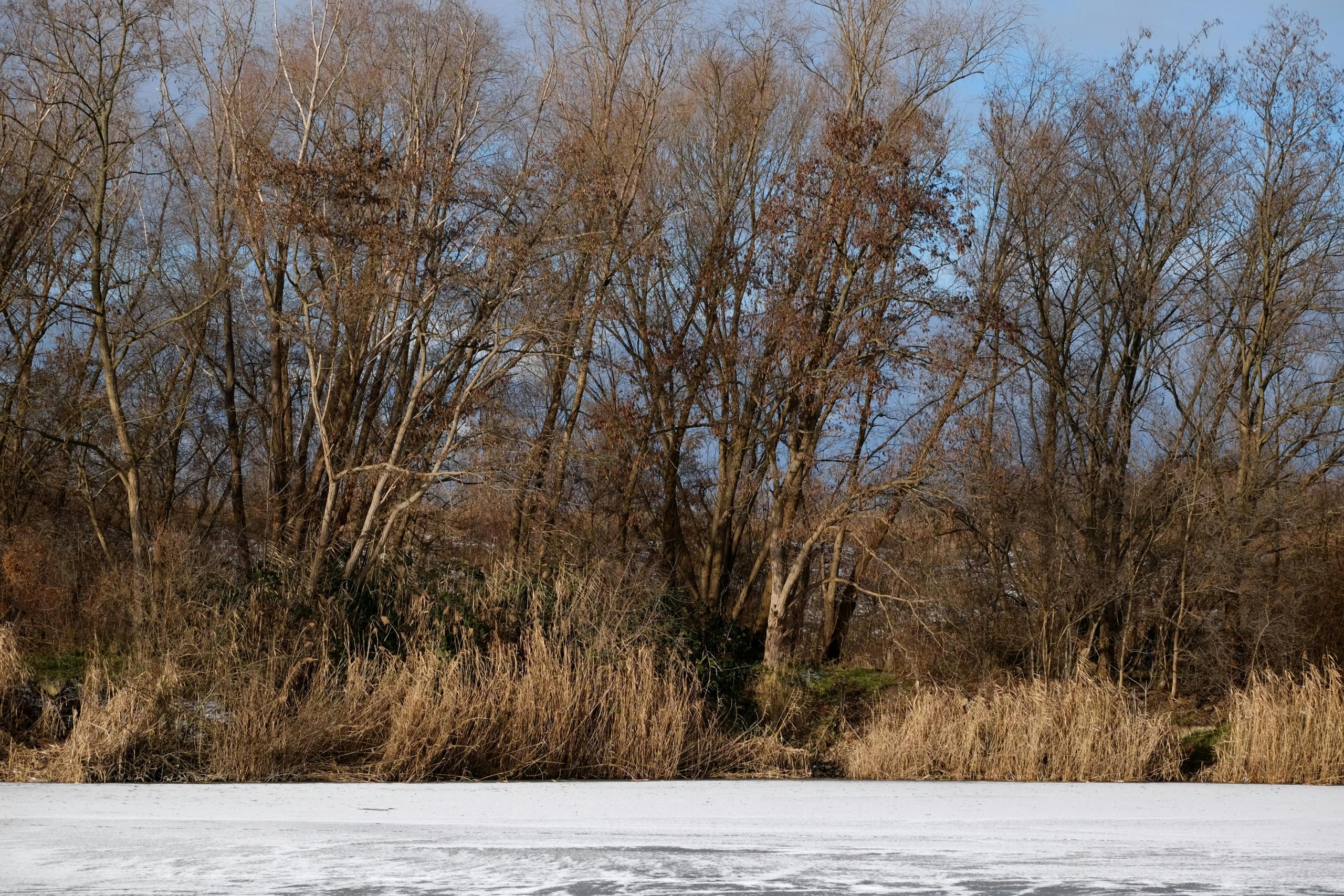 Zdjęcie do artykułu: Jak pracować z kontrastem i światłem słonecznym w plenerze
